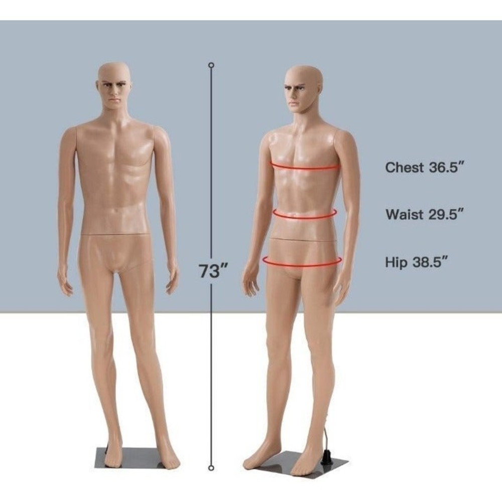 Male Mannequin Adult Man Manikin Full body Realistic Mannequin Display 6' 1"